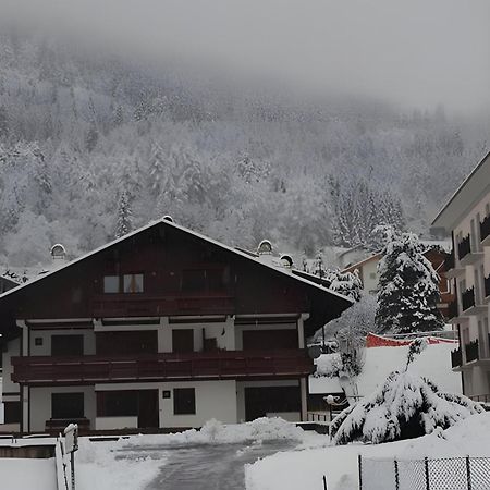 皮耶韦迪卡多雷Habitat Dolomiti-Cadore公寓 外观 照片