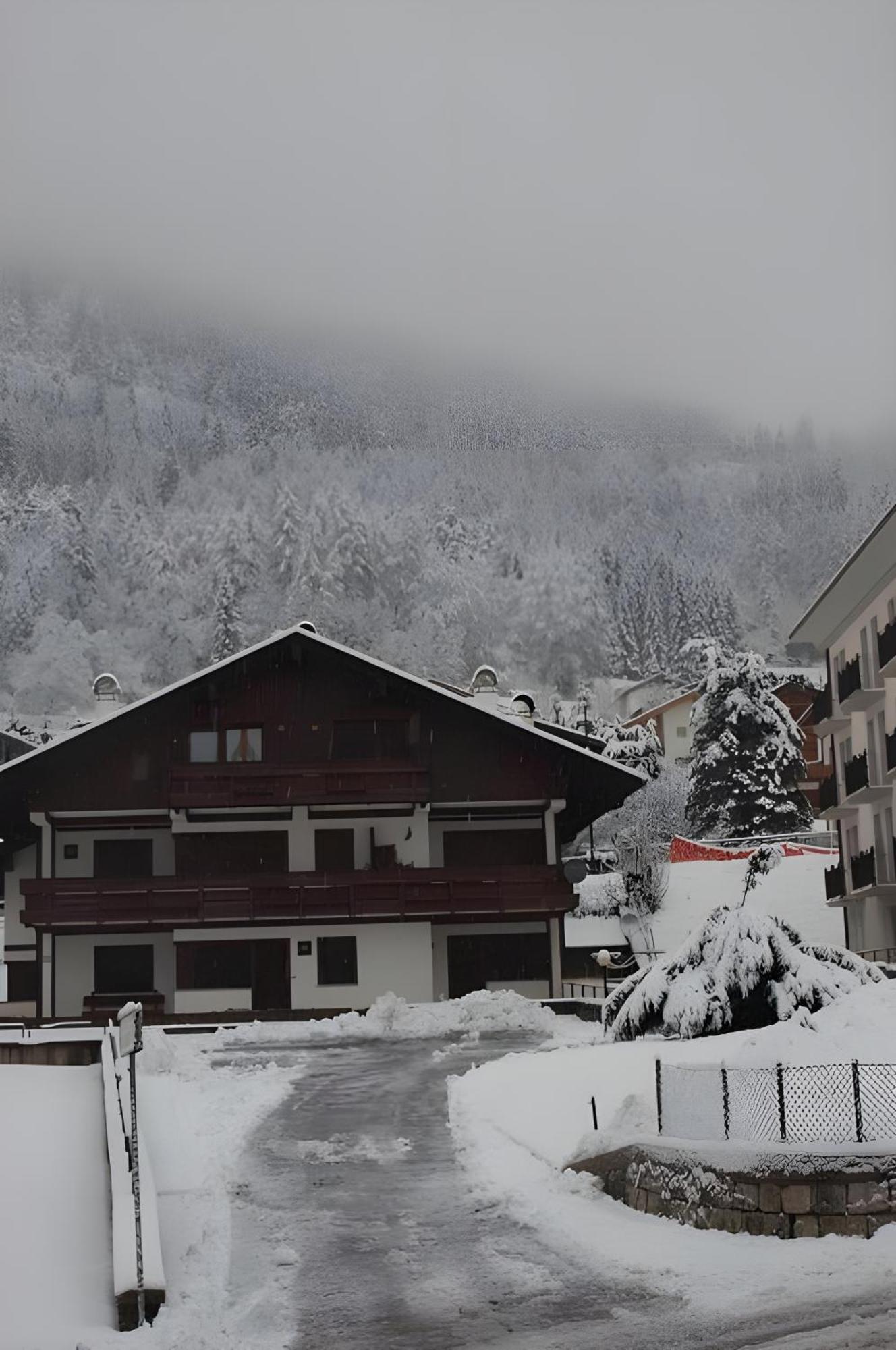 皮耶韦迪卡多雷Habitat Dolomiti-Cadore公寓 外观 照片